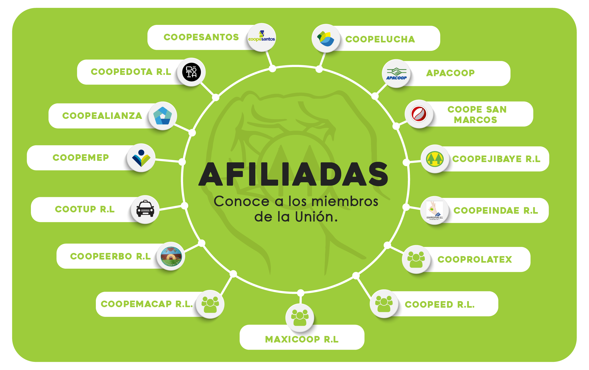 Red de Afiliadas